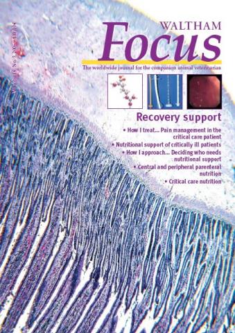 Recovery Support - Veterinary Focus - Vol. 16(3) - Oct. 2006
