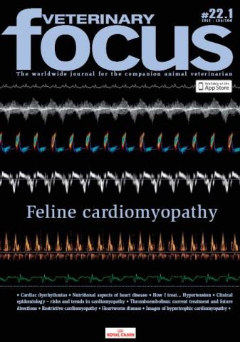 Feline Cardiomyopathy - Veterinary Focus - Vol. 22(1) - Feb. 2012