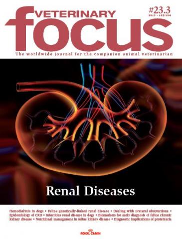 Renal Diseases - Veterinary Focus - Vol. 23(3) - Nov. 2013