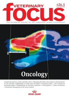 Small Animal Oncology - Veterinary Focus - Vol. 26(3) - Nov. 2016