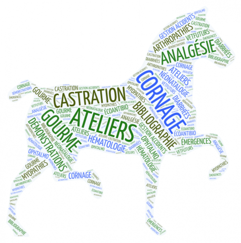 AVEF 2019 - Association Vétérinaire Equine Française