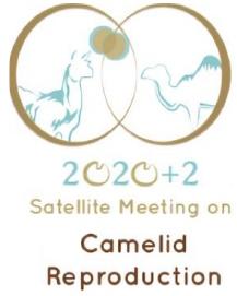 ICAR Satellite Meeting on Camelid Reproduction - Italy, 2022