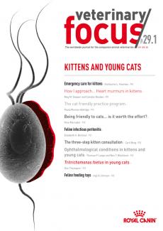 Kittens and Young Cats - Veterinary Focus - Vol. 29(1) - Mar. 2019