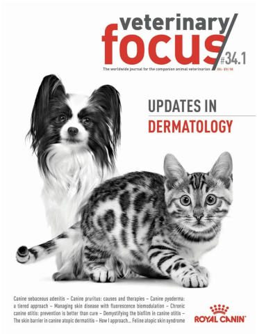 Updates in dermatology