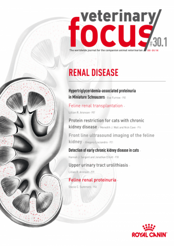 Veterinary Focus Issue 30(1) June 2020