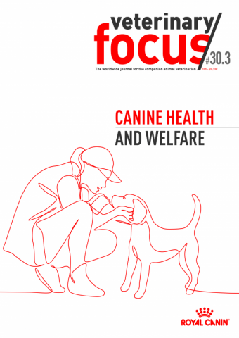 Veterinary Focus 30(3)