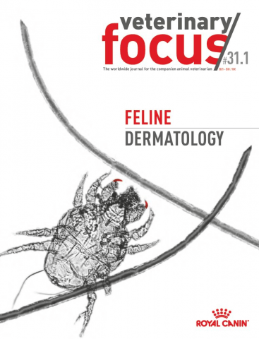 Veterinary Focus- 31(1) - Feline Dermatology