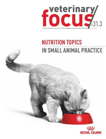 vet-focus-31-3-nutrition-gb.jpeg