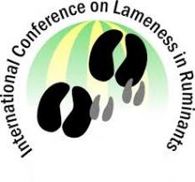 International Conference on Lameness in Ruminants