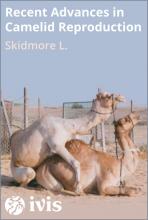 Recent Advances in Camelid Reproduction