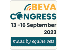 BEVA Congress 2023